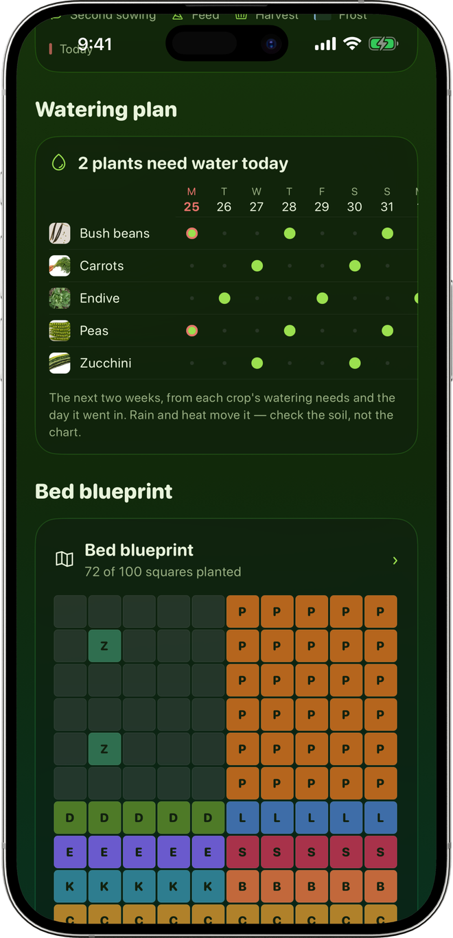 A bed's watering plan for the next two weeks, above its square-foot blueprint