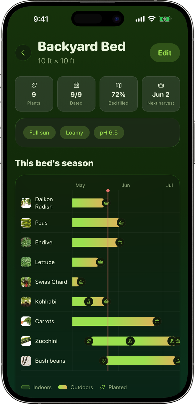A bed's season as a timeline, one bar per crop from sowing to harvest